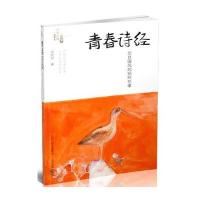 青春诗经-出自国风的别样花事