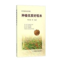 种植优质好稻米