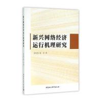 新兴网络经济运行机理研究