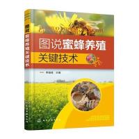 图说蜜蜂养殖关键技术