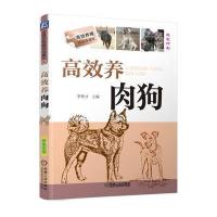高效养肉狗