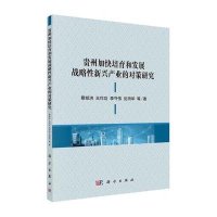 贵州加快培育和发展战略性新兴产业的对策研究