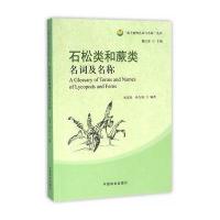 石松类和蕨类名词及名称