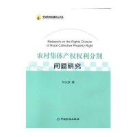 农村集体产权权利分割问题研究