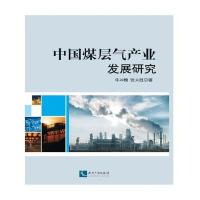 中国煤层气产业发展研究