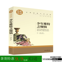 少年维特之烦恼 歌德小说 原汁原味读原著八十天环游地球 青少年版班主任推荐