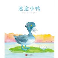 [M]迷途小鸭-9787550262331