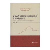 RND3在人脑胶质母细胞瘤中的作用及机制研究