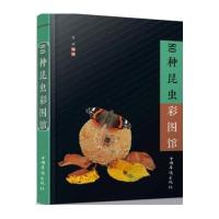 80种昆虫彩图馆