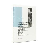 当代激进思想家译丛 延迟的否定:康德、黑格尔与意识形