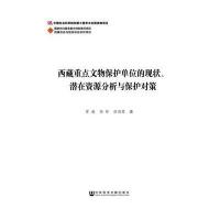 西藏重点文物保护单位的现状、潜在资源分析与保护对策