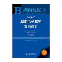 湖南蓝皮书:2016年湖南电子政务发展报告