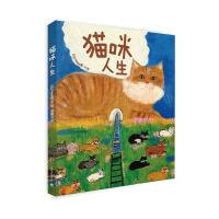 猫咪人生