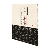 历代名家碑帖临习技法精解:张旭草书临习技法精解