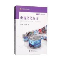 广播影视新视角丛书:电视文化新论