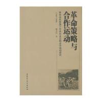 革命策略与合作运动:革命动员视角下农业互助合作运动