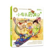 小布头奇遇记-上-注音版