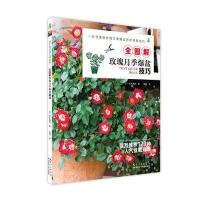 全图解玫瑰月季爆盆技巧