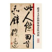 彩色放大本中国著名碑帖 赵秉文书追和坡仙赤壁词韻