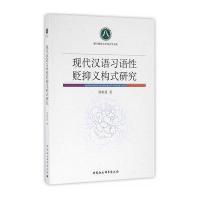 现代汉语习语性贬抑义构式研究
