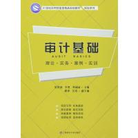 21世纪应用技能型精品规划教材 财经系列 审计基础:理