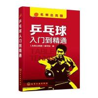 乒乓球入门到精通