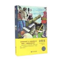 金银岛(名家名译)