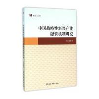 中国战略性新兴产业融资机制研究