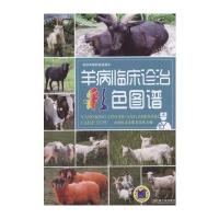 羊病临床诊治彩色图谱