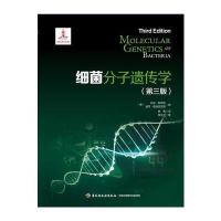 细菌分子遗传学:第三版