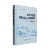 矿产资源高效加工与综合利用 第十一届选矿年评(下册)