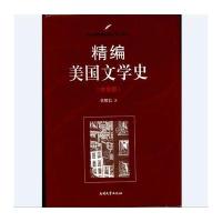 精编美国文学史(中文版)