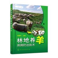 林地养羊疾病防治技术