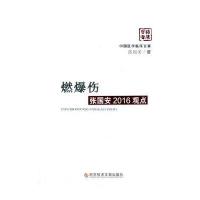 燃爆伤张国安2016观点