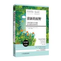 清新的原野