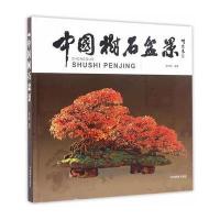 中国树石盆景(精)