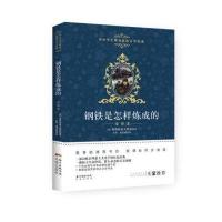 钢铁是怎样炼成的(全译本)
