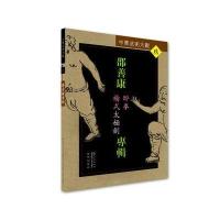 邵善康专辑:醉拳、杨式太极剑