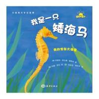 我的家在大海里---我是一只矮海马