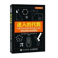 迷人的代数 代数学的发展历程及重大成就
