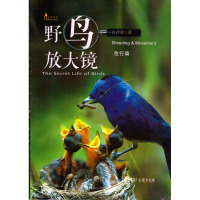 野鸟放大镜:住行篇 许晋荣 商务