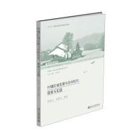 村镇区域发展与空间优化:探索与实践
