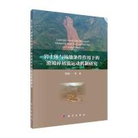 岩土体与场地条件作用下的滑坡碎屑流运动机制研究