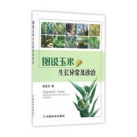 图说玉米生长异常及诊治