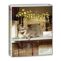 我家猫大人不可能这么可爱