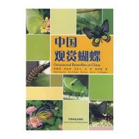 [M]中国观赏蝴蝶-9787503852770