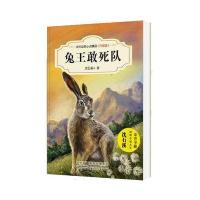 中外动物小说精品(升级版):兔王敢死队