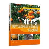果树栽培修剪图解丛书--柑橘高产优质栽培与病虫害防治