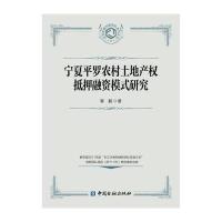 宁夏平罗农村土地产权抵押融资模式研究