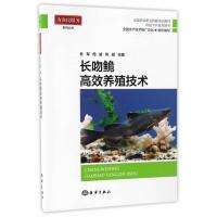 长吻鮠高效养殖技术